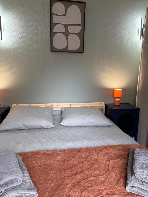 Duplex T2 cosy - Hyper Centre - Parking privé - 3