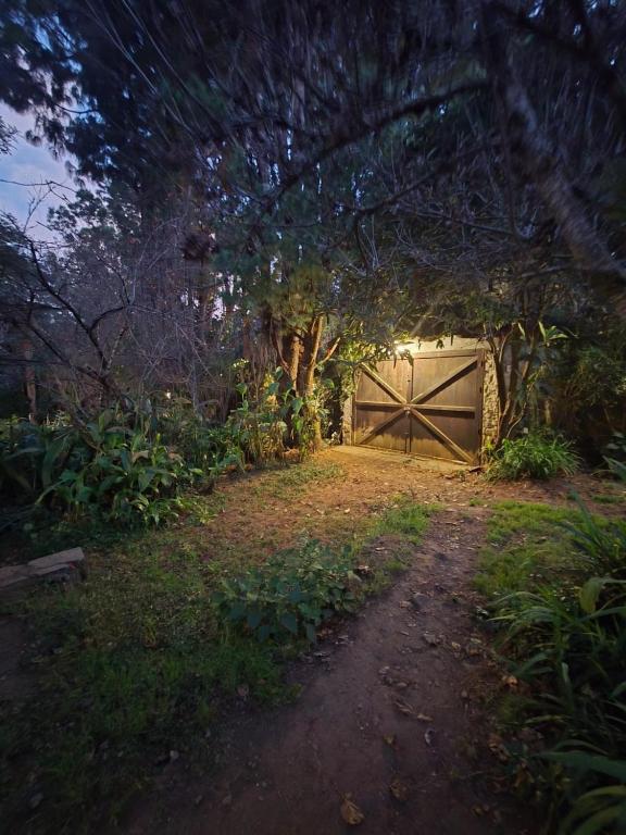 Secret Garden - 3