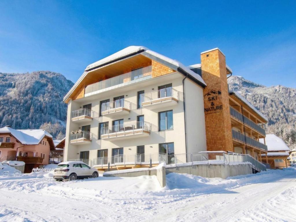 Ski-Nature Apartment Lungau - 1