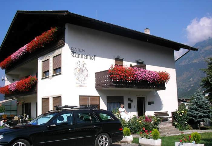 Pension Tannenhof - 3