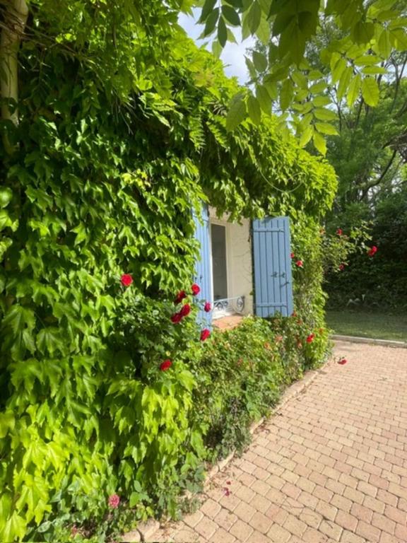 Bastide Azzura - Piscine Privée - 4
