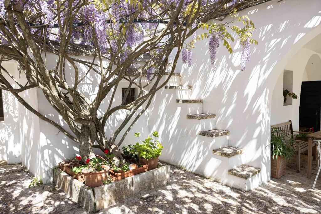 I Trulli della NaturaBio - 4