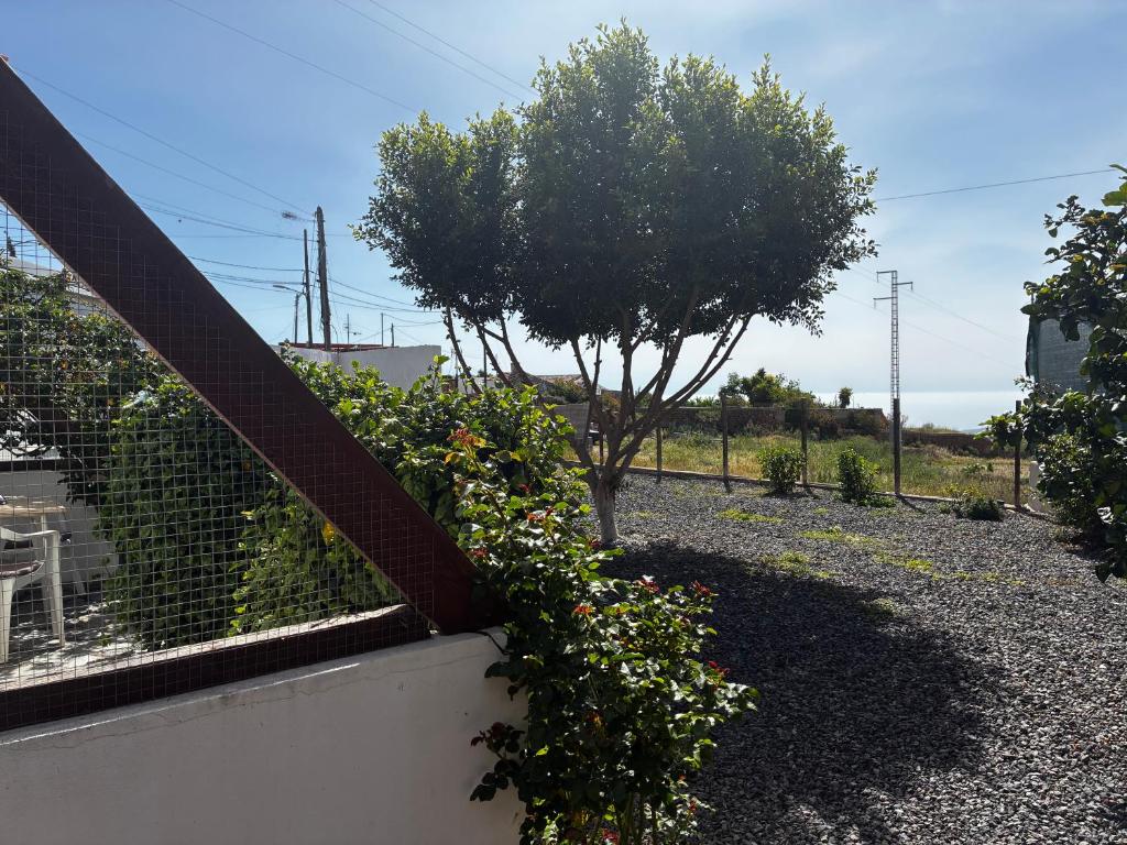 Casa Rosa - 3