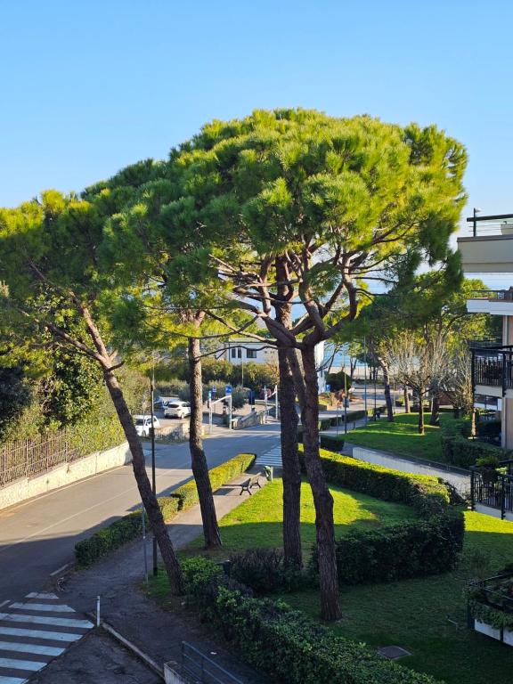 Top Lacus-by Goccia di Lago - 2