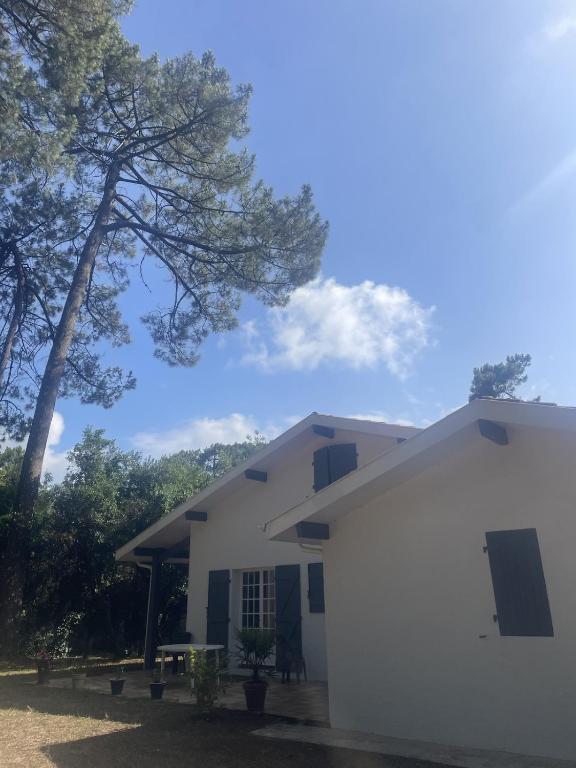 Grande maison de vacances avec jardin - 2
