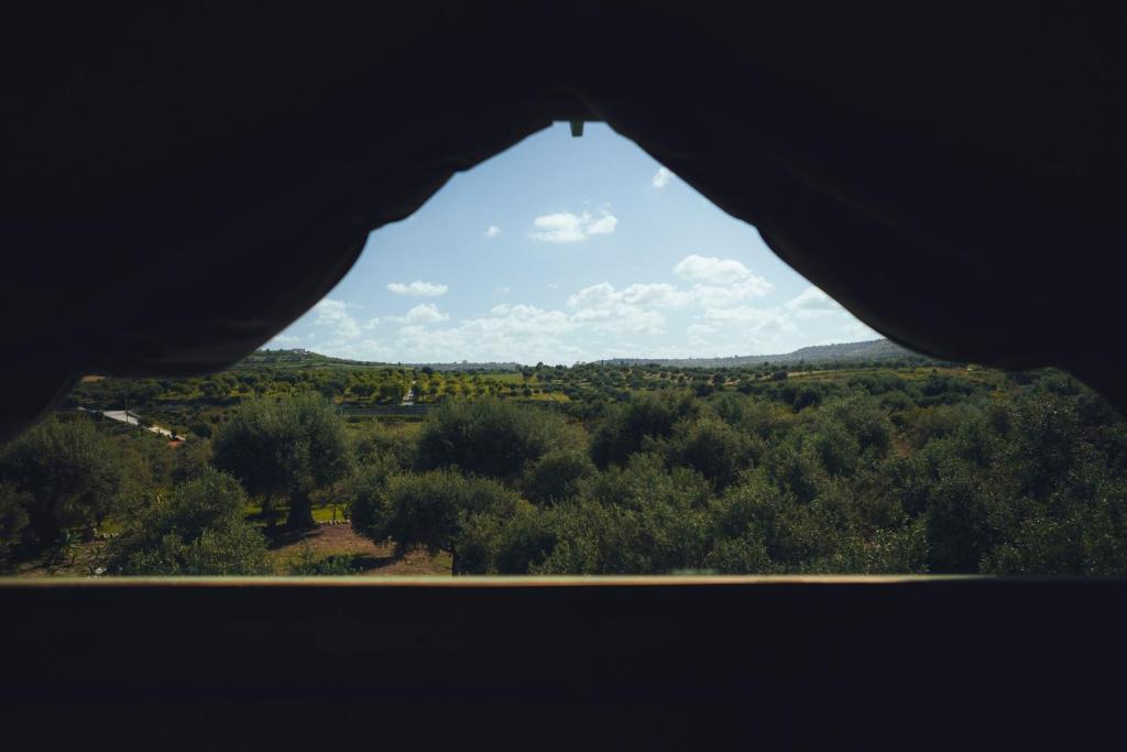 Braccialieri Luxury Resort - 2