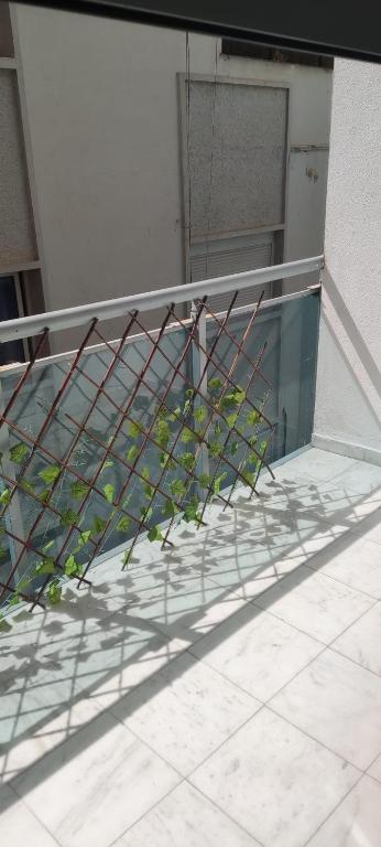 Centro Torremolinos - 2
