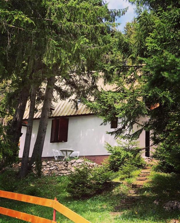 Black Lake House Dajovic - 1