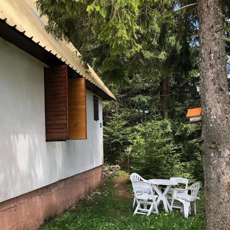 Black Lake House Dajovic - 4