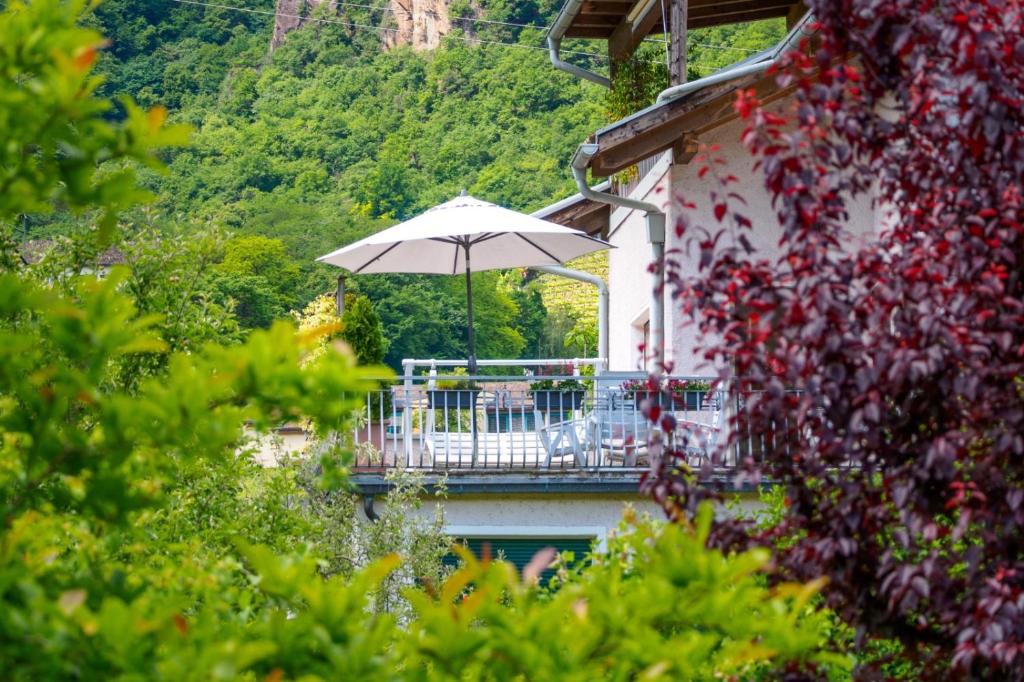 Ferienwohnung Seespiegel direkt am Kalterer See - 2