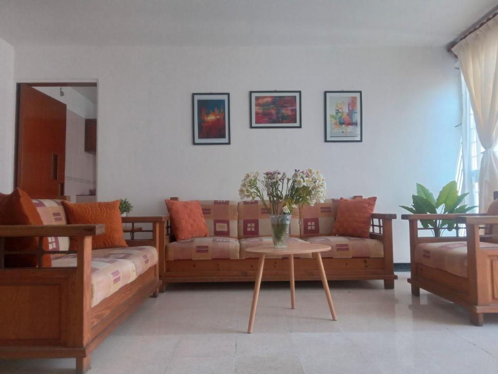 Big comfy apartment oaxaca city early check in - 3