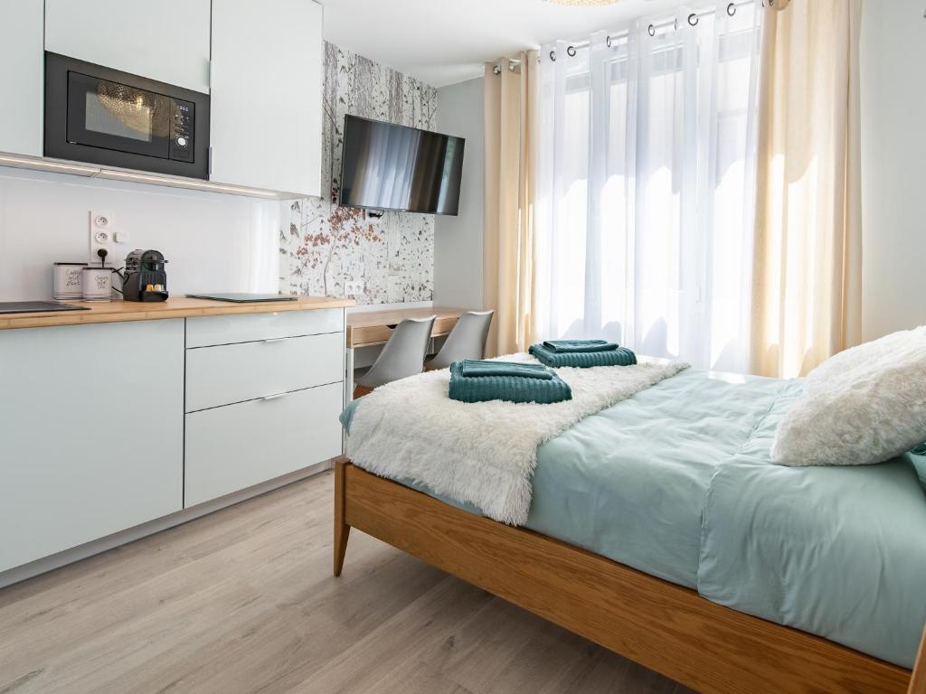 Appartement Saison - Saint Étienne - La Terrasse - 3
