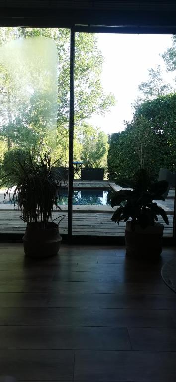 Maison contemporaine avec piscine dans la verdure - 3