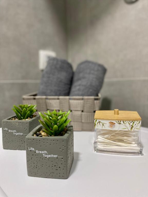 Verde Apartment - 2