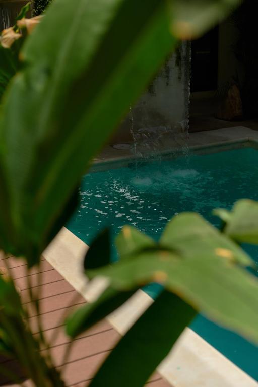 Hotel Fusión - 2
