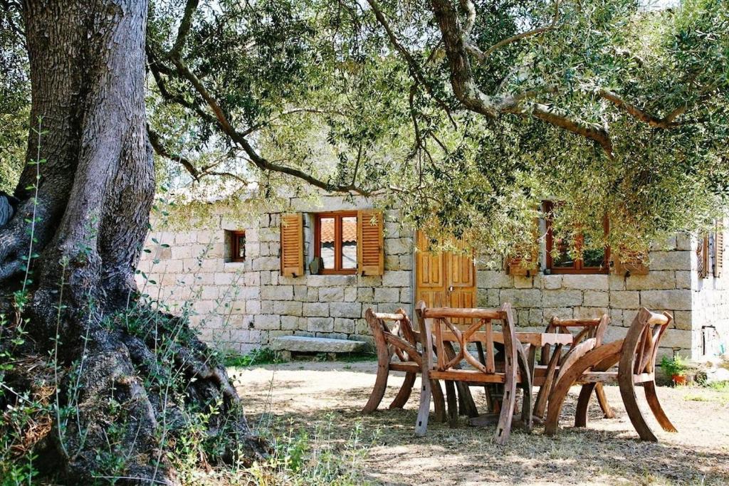 Village sheepfold with large garden - 2