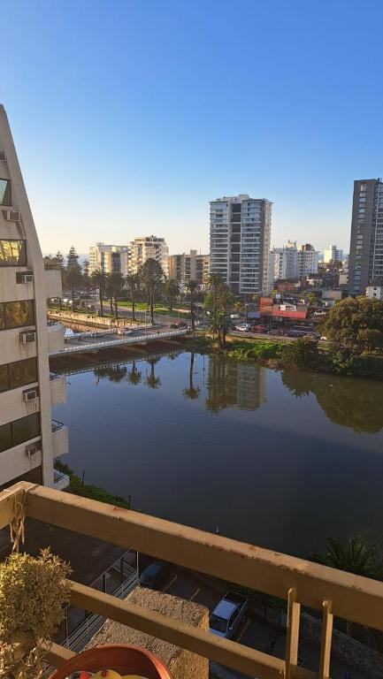 Estero de Viña - Centrico - 1