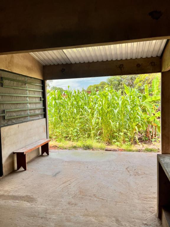 Rincón Llanero - 4