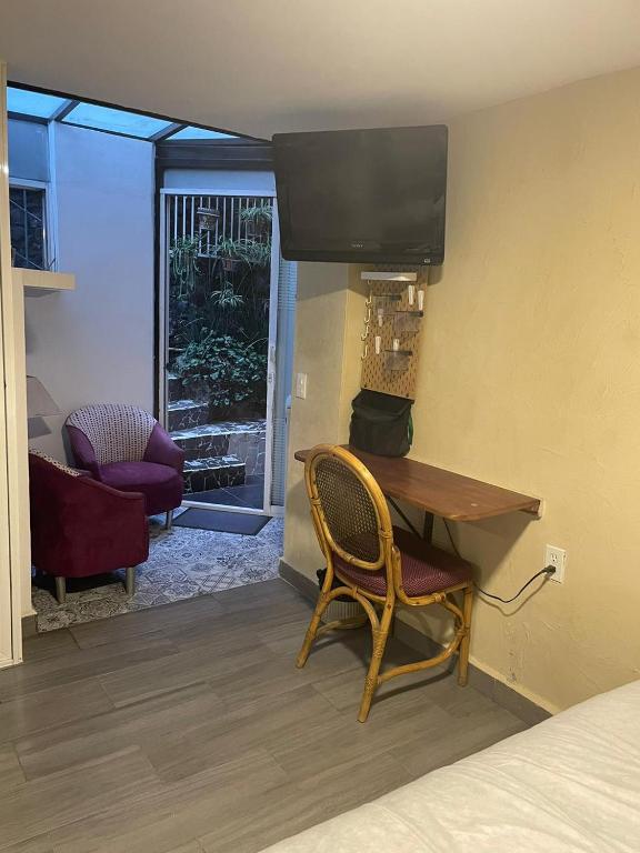 Habitaciones Coyoacan (UNAM) - 5