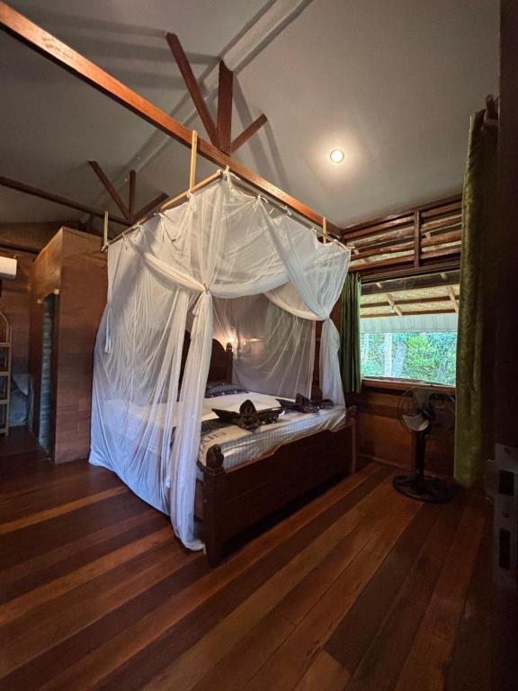On The Rocks Bungalows, Restaurant and Jungle Trekking Tours - From May to September only stay here 
