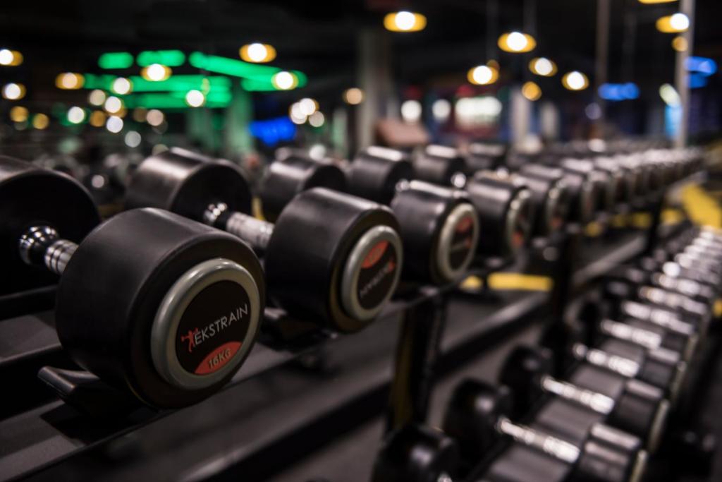 アクティビティ