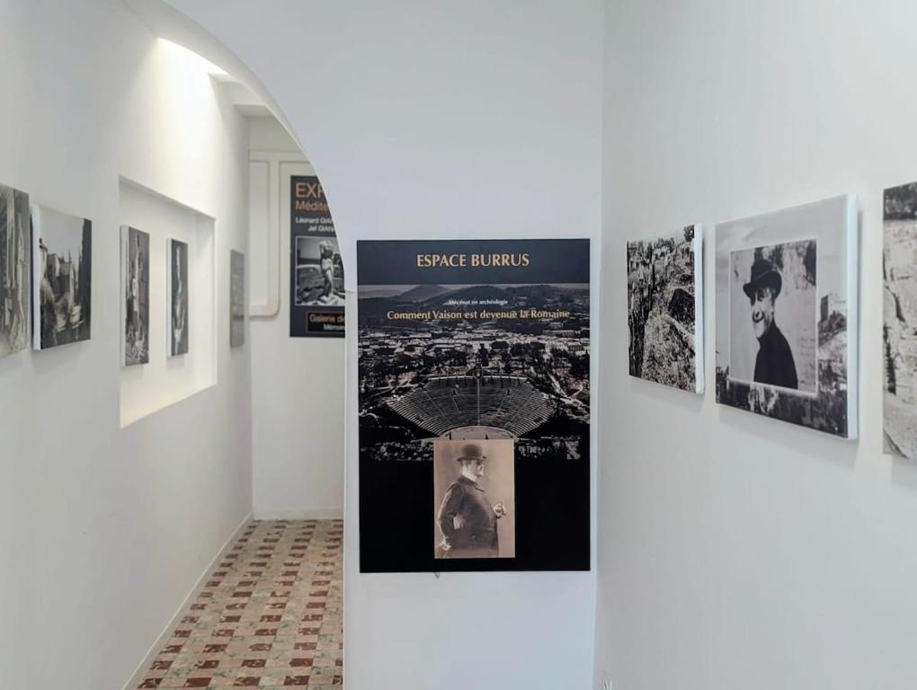 Le Salon Bleu - Histoire de Vaison - 5