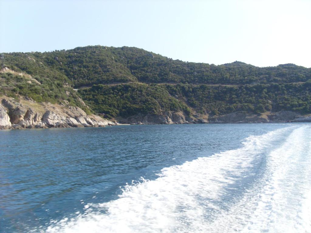 Studio Porto Marina photo