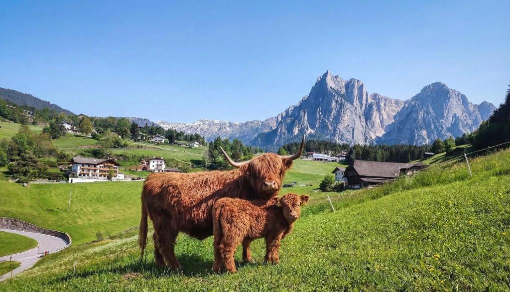 Pilgram Farm Lodges Dolomites - 5