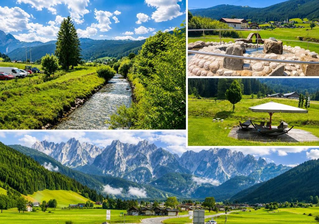 Forest Apartment Gosau - 2