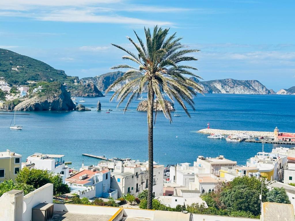 La casa di Feruri a Ponza - 3