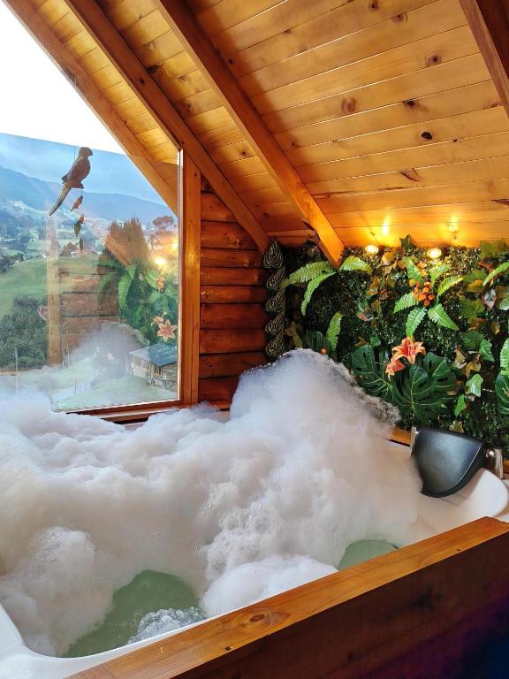 Glamping El Ocaso - 1