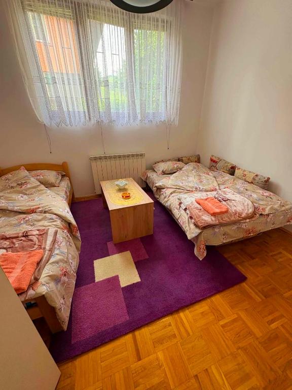 Apartman Lejna - 4