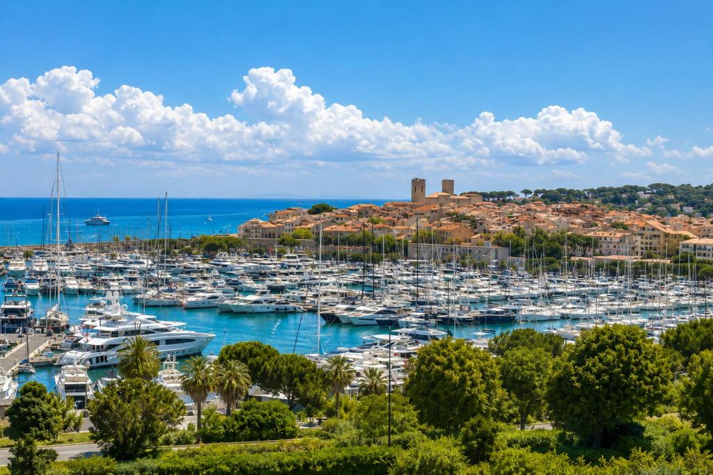 Penthouse - panoramic sea-view rooftop, Port Vauban - 2