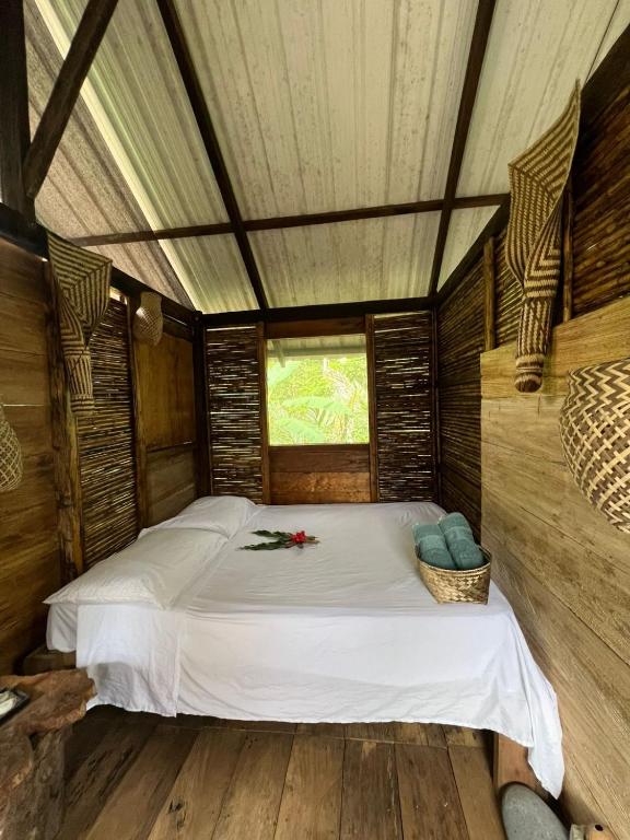 Ancestra black ecolodge - 3