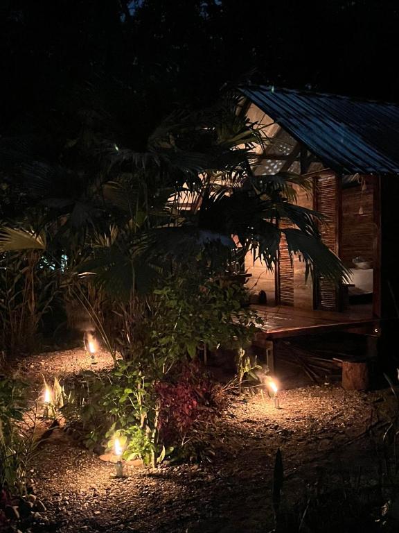 Ancestra black ecolodge - 5