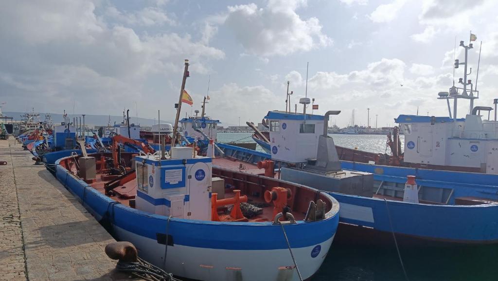 La Marinera - 5