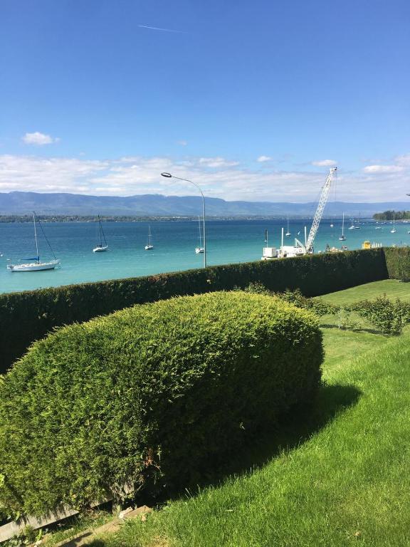 Elite Villa Geneva with Lake View - 5