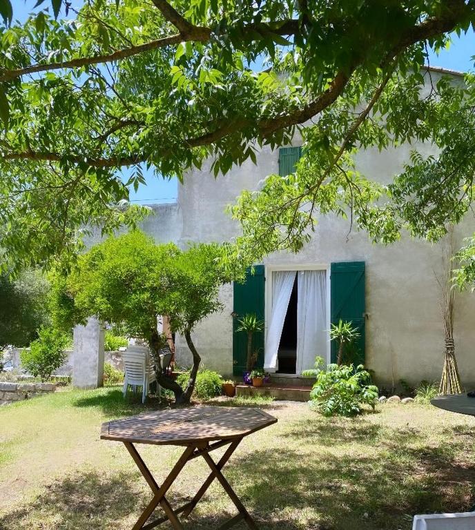 Appartement 75m2 avec terrasse et jardin - 3