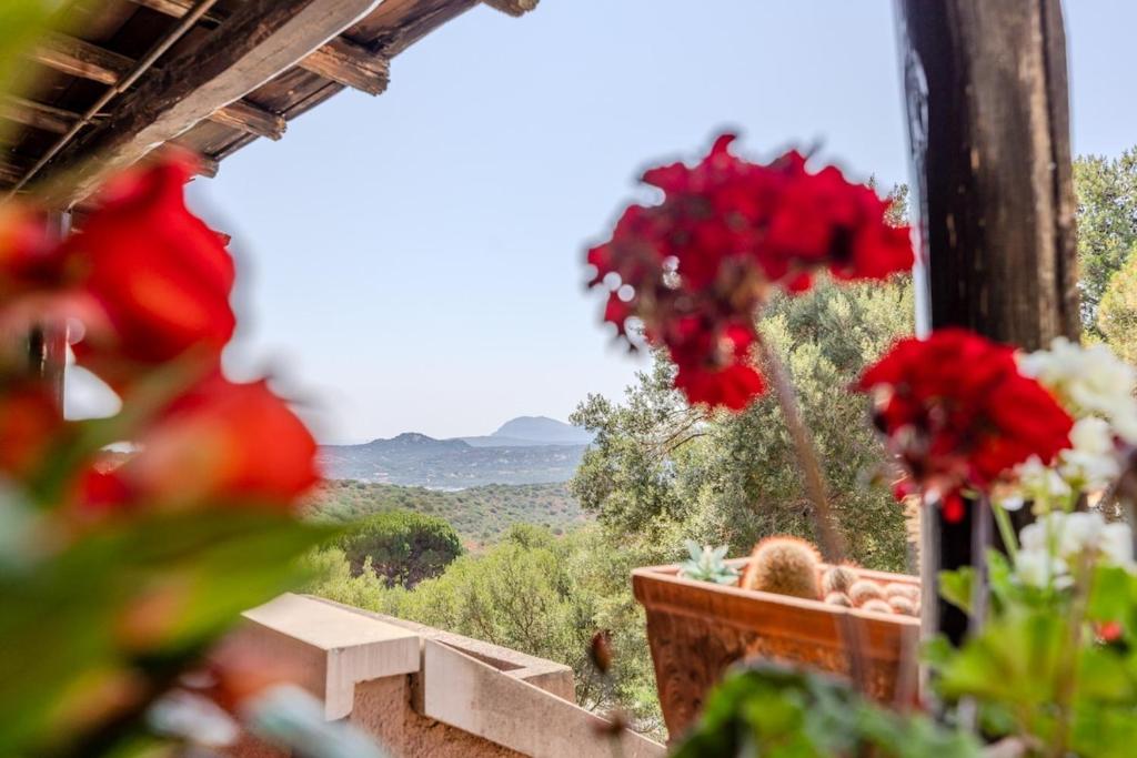 Charming Open Space in Costa Smeralda - 5