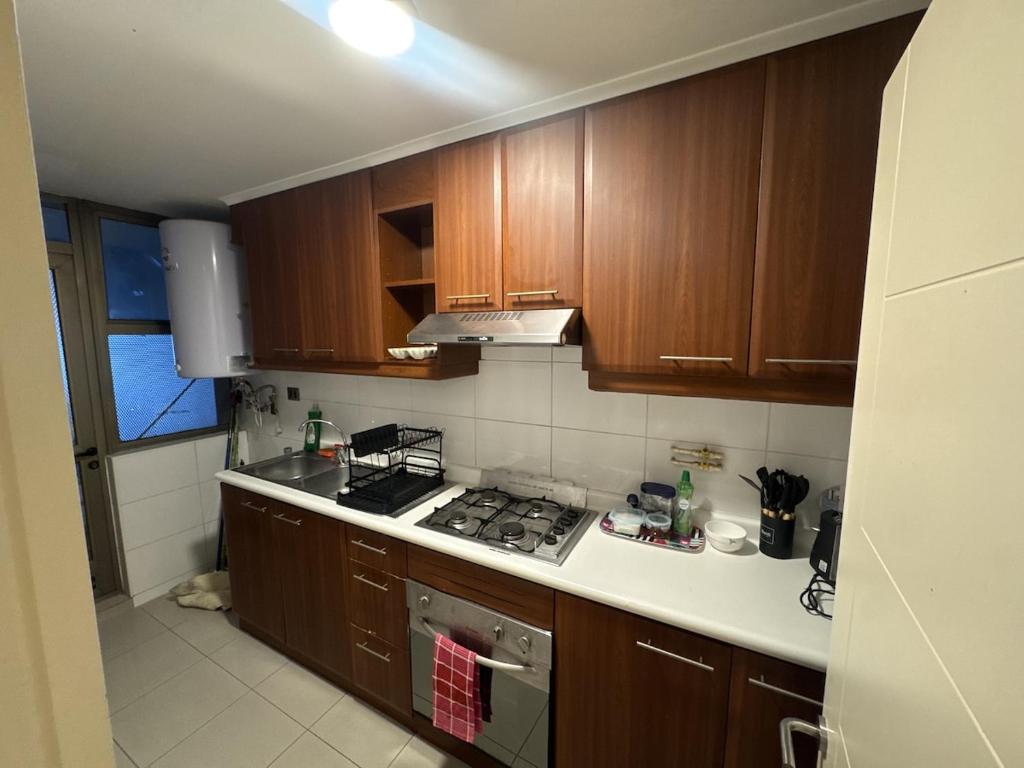 Spectacular apartment in downtown Chillan - 2