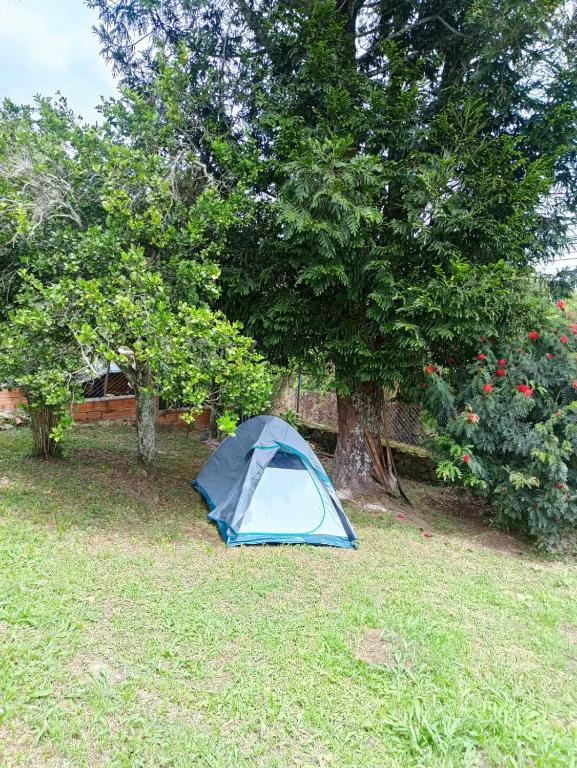 Ecocamping oasis - 4