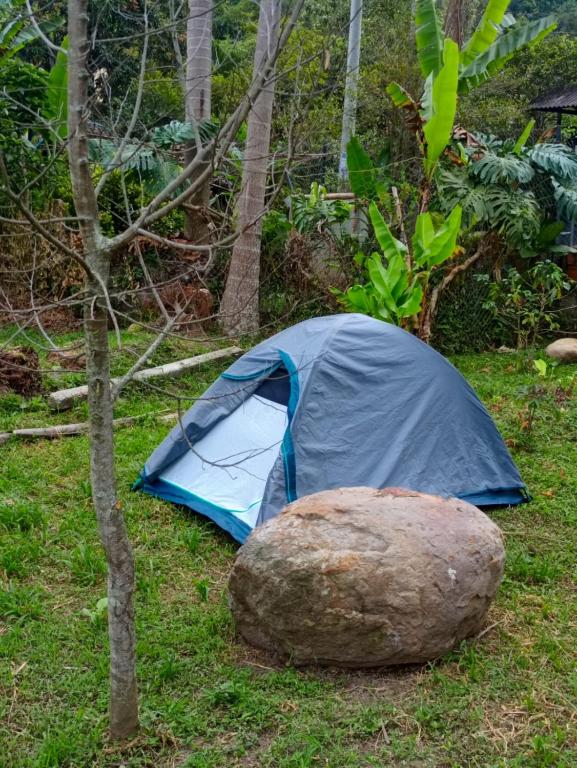 Ecocamping oasis - 2