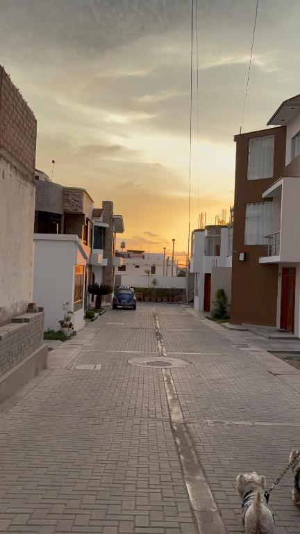 Tacna Aurora - 4