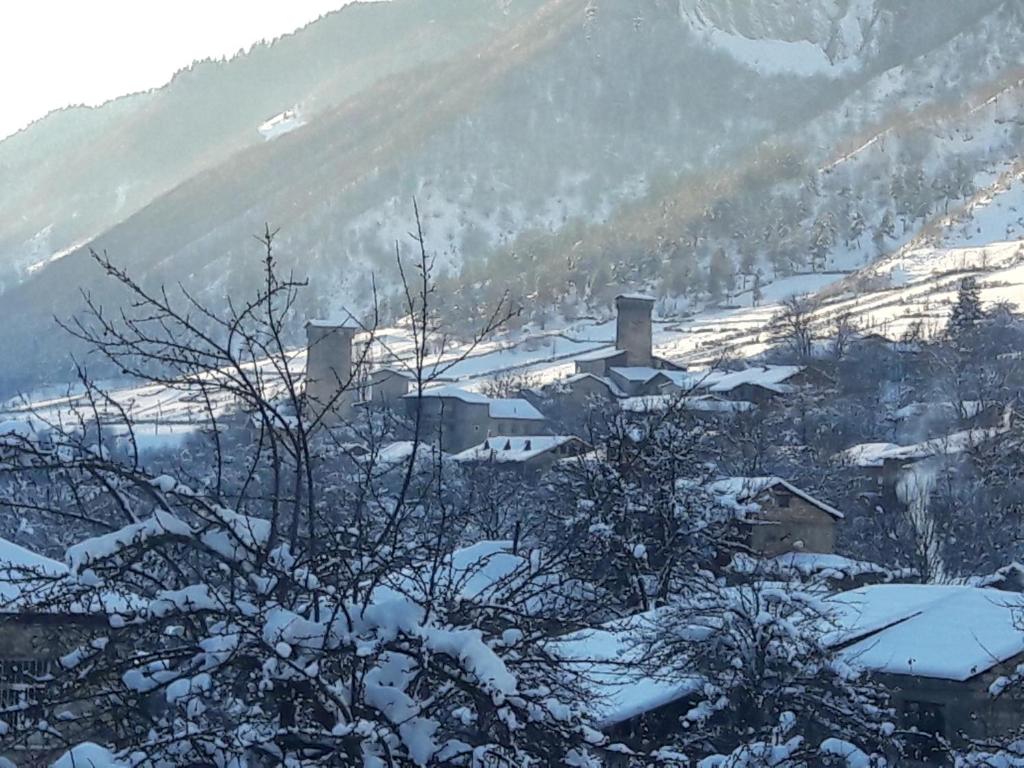 Boutique hotel mestia photo