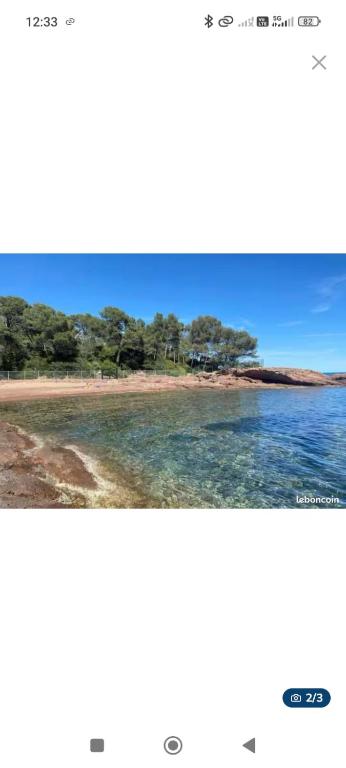 Très Beau T1 bis à 200 m de la plage et commodités - 2