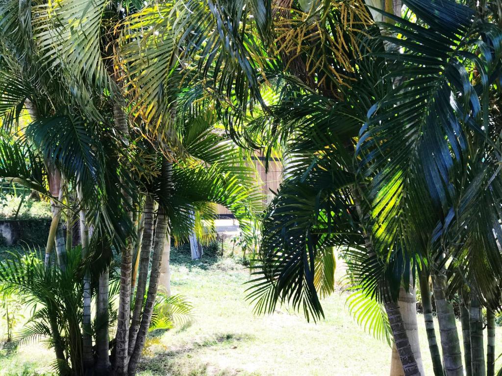 Facilities