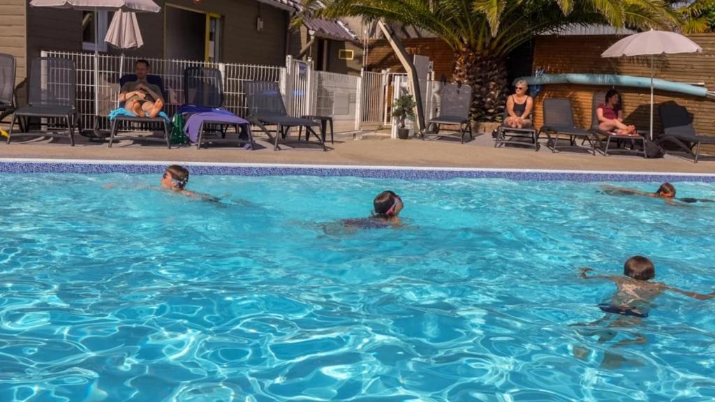 Camping 3 étoiles - Piscine - ccbgbgg - 2