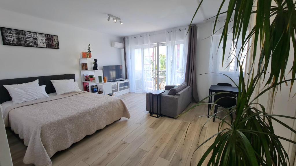Spacious Studio - 1