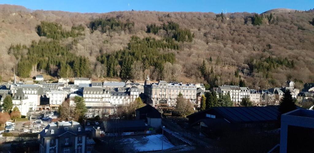 Studio Mont-dore - 3