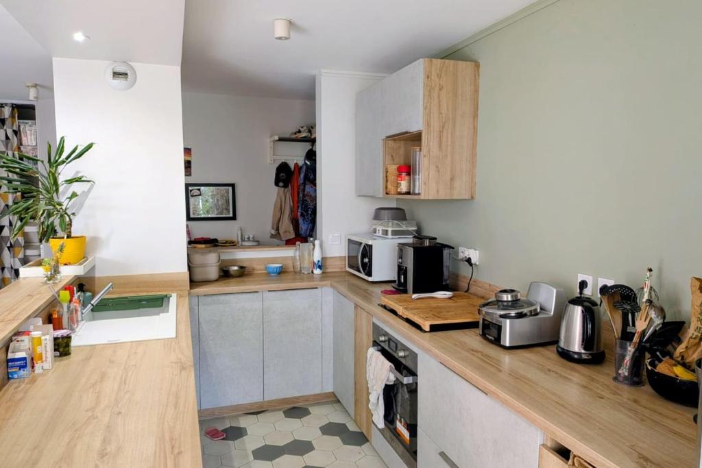Lyon Center Apartment with private garden & garage - 5